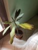 20171102_130148-iloveimg-resized.jpg