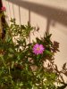 IMG_20171007_165007-600x800.jpg