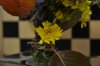 DSC_0004.JPG DSC_0004.JPG