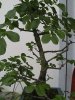 IMG_5701.jpg IMG_5701.jpg
