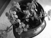 DSCF1186.jpg