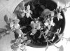DSCF1182.jpg