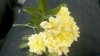 2012-05-04_11-37-28_688.jpg