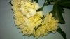 2012-05-04_13-07-50_711.jpg