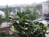 201244164537_oli1.jpg