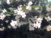 2012-05-05 17.56.01.jpg