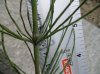 DSC00450.jpg