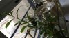 IMG-20180218-WA0049.jpg IMG-20180218-WA0049.jpg