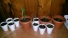 IMG-20180211-WA0024.jpeg IMG-20180211-WA0024.jpeg