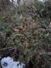 IMG_20180227_174747-600x800.jpg