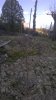 WP_20180309_001.jpg