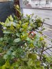 20180318_150812.jpg