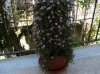 DSCN0922..jpg
