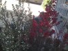 IMG_1095.jpg