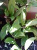 DSC00318.jpg