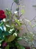 DSC00319.jpg