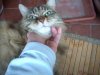 DSCN0928.jpg