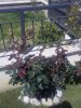 12052012120.jpg