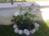 12052012117.jpg