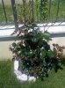 12052012119.jpg