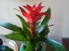 2012-05-12 10.10.17.jpg