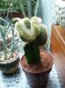 2012-05-16 10.21.49.jpg