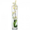 vaso-con-orchidea.jpg