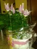 IMG-20180402-WA0007.jpg