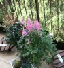 IMG-20180408-WA0009 1.jpg