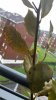 2018-04-09 10.51.01.jpg