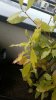 2018-04-09 10.48.44.jpg