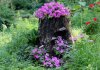 tree-stump-garden-ideas-6.jpg
