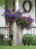 tree-stump-garden-ideas-13.jpg