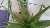 IMG-20180417-WA0002.jpg