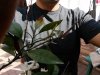 IMG_20180421_101954.jpg