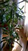 WP_20180423_001.jpg