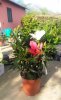 IMG_20180426_175437.jpg