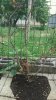 IMG-20180505-WA0002.jpg