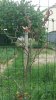 IMG-20180505-WA0001.jpg