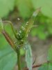 20180511_112545 (600x800).jpg