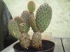 PICT0202.jpg