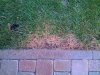 2012-05-20 17.19.08.jpg