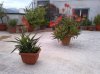 20120516-00030.jpg