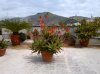 20120506-00026.jpg