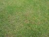 2012-05-22 11.04.37.jpg