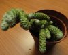 DSC02722.jpg