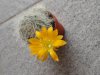 DSC02755.jpg