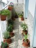 Balcon (17).jpg