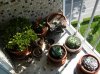 Balcon (24).jpg