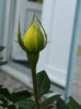 Balcon (43).jpg